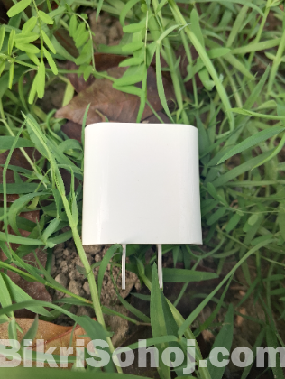 Iphn 20w USB power adapter